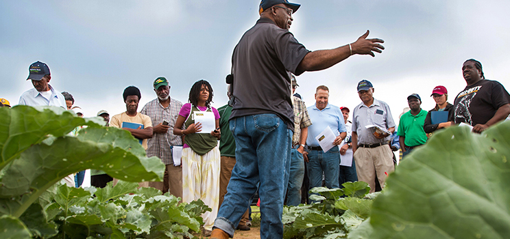 Farmers in the open