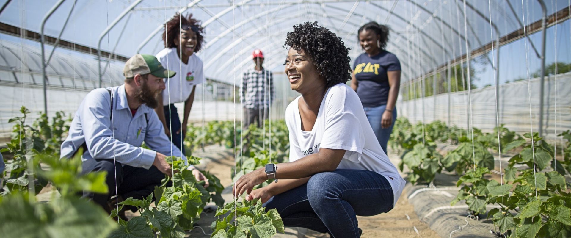 College of Agriculture and Environmental Sciences