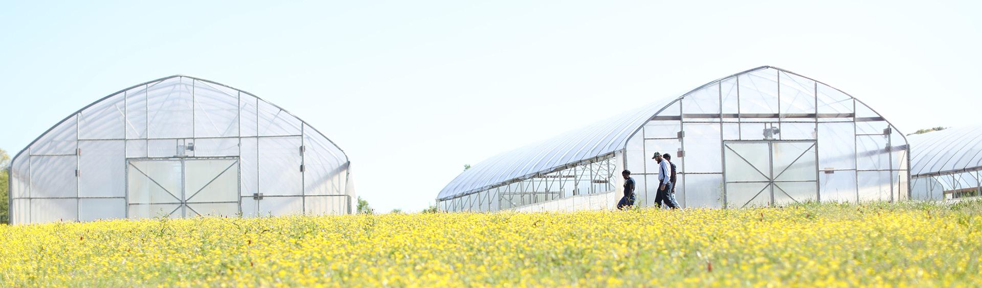 Bachelor of Science Agricultural and Environmental Systems