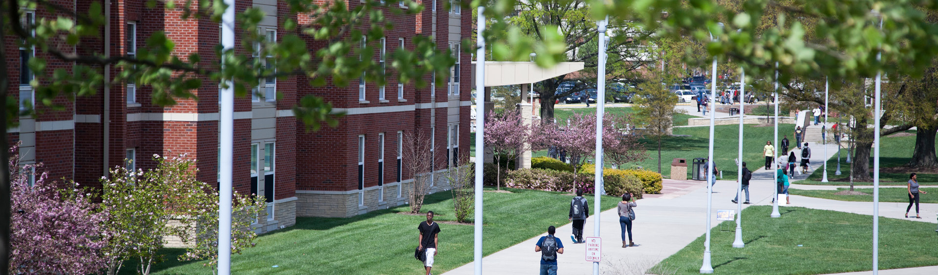 Transfer Requirements North Carolina A T State University