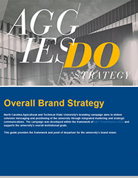 Brand Strategy Guide