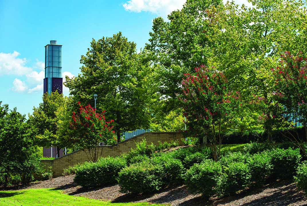 N.C. A&T Clock Tower behind trees and shrubs