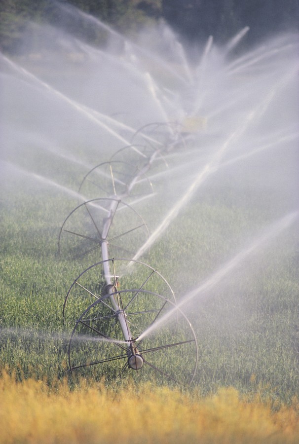 A farm irrigation system watering a field.