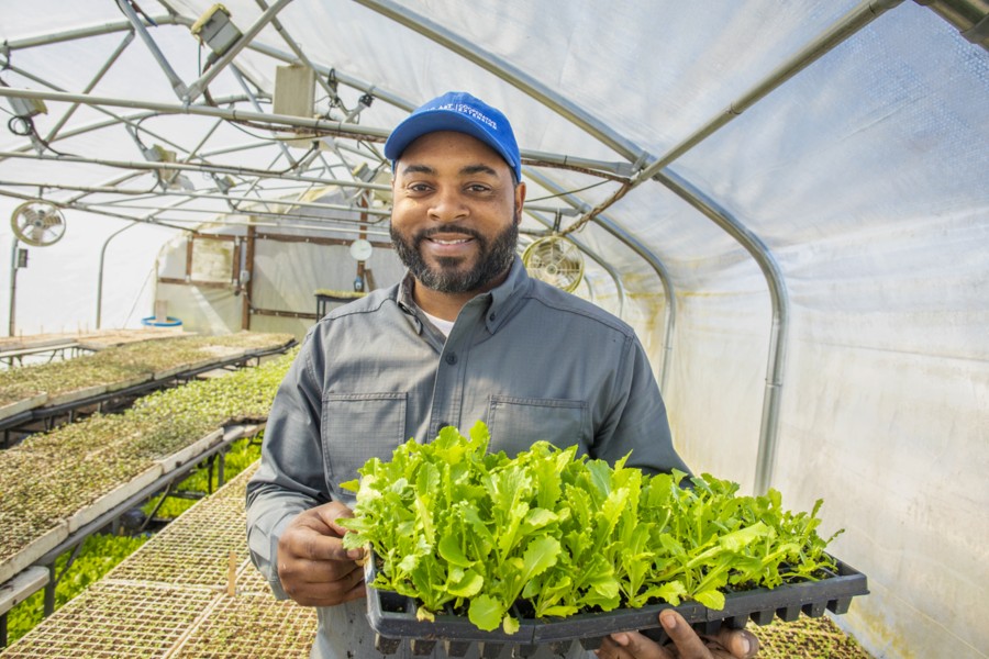 Patrick Brown, holding a tray of baby lettuce ready for planting