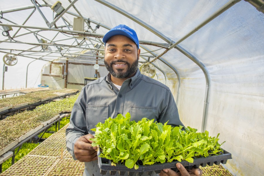 Patrick Brown, holding a tray of baby lettuce ready for planting.