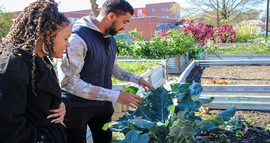 Two students admiring plants in the garden