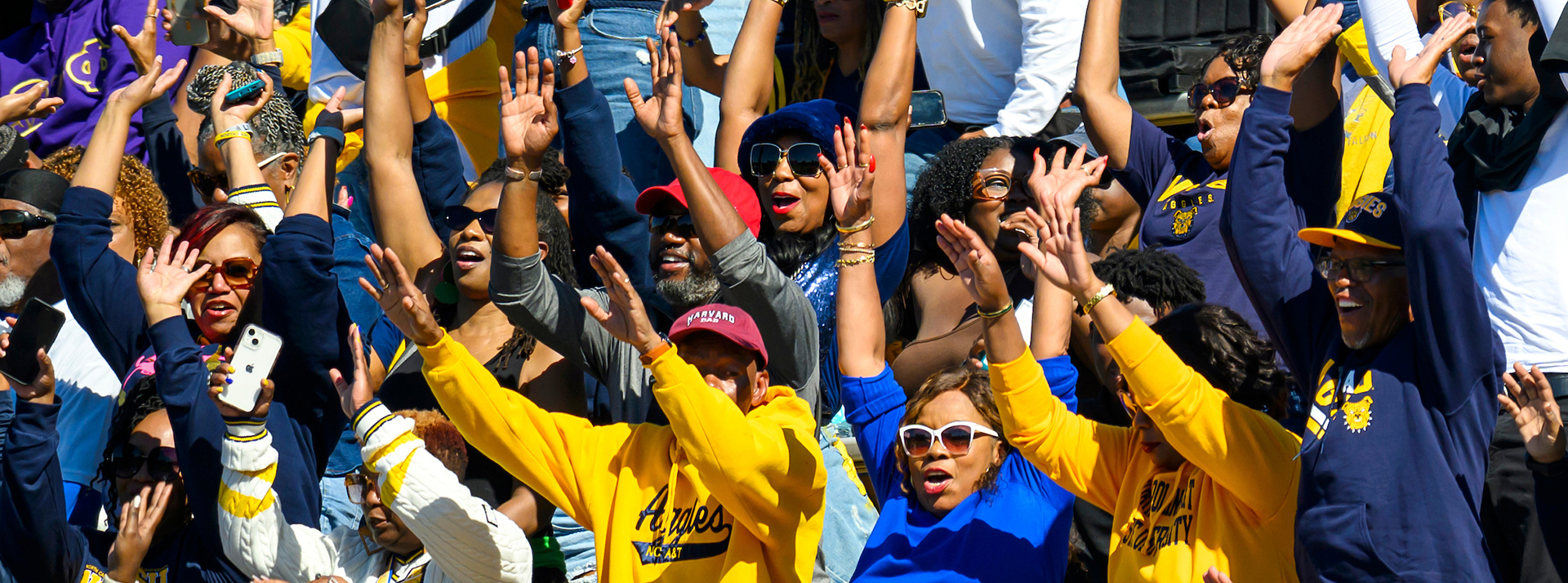 Alumni Facing Activities