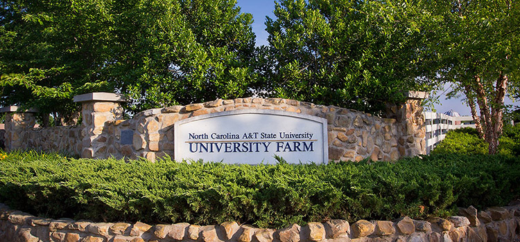 Small Farmers gather on the ncat farm