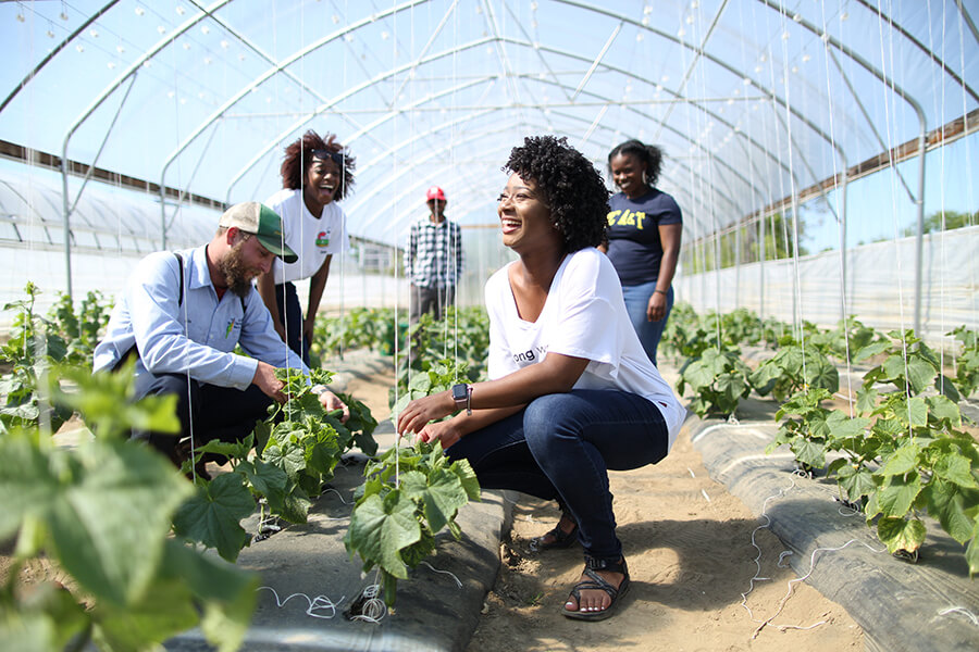 Legislation Introduced to Make Agriculture Scholarship Permanent