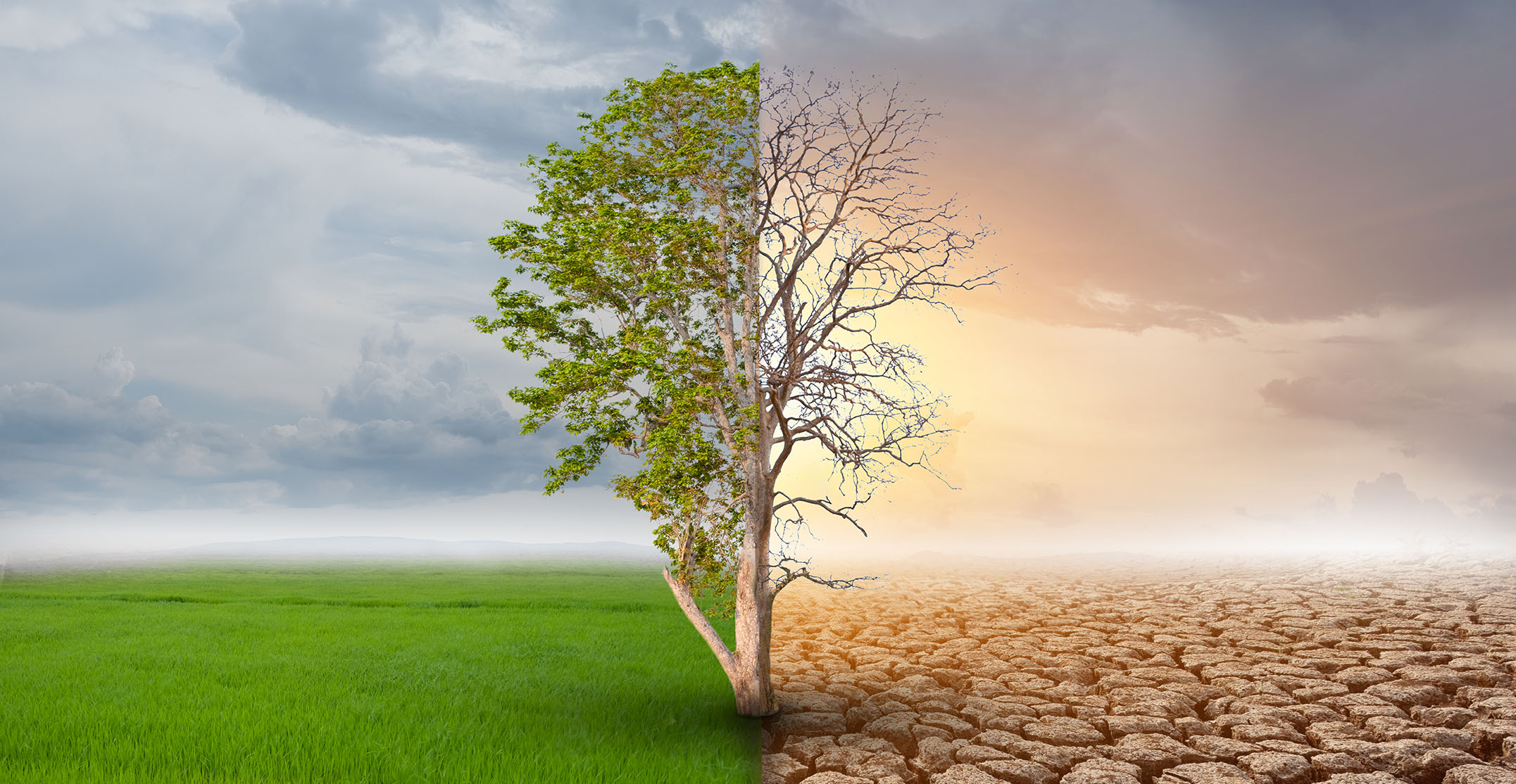 State Of The Climate Report 2020 One Of Warmest Years On Record state-of-the-climate-report-2020-one-of-warmest-years-on-record