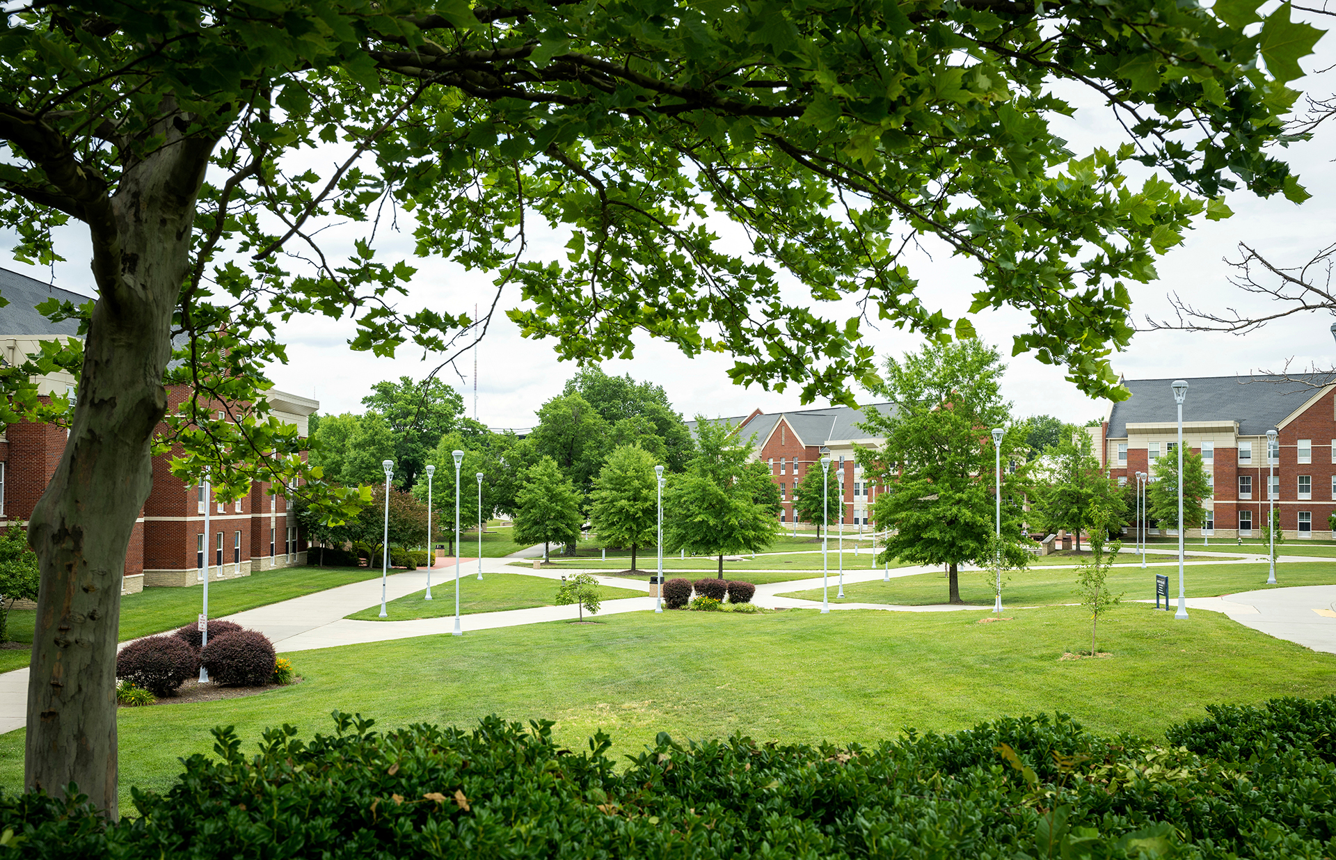 A&T Receives Transformative $63M Investment from Philanthropist ...