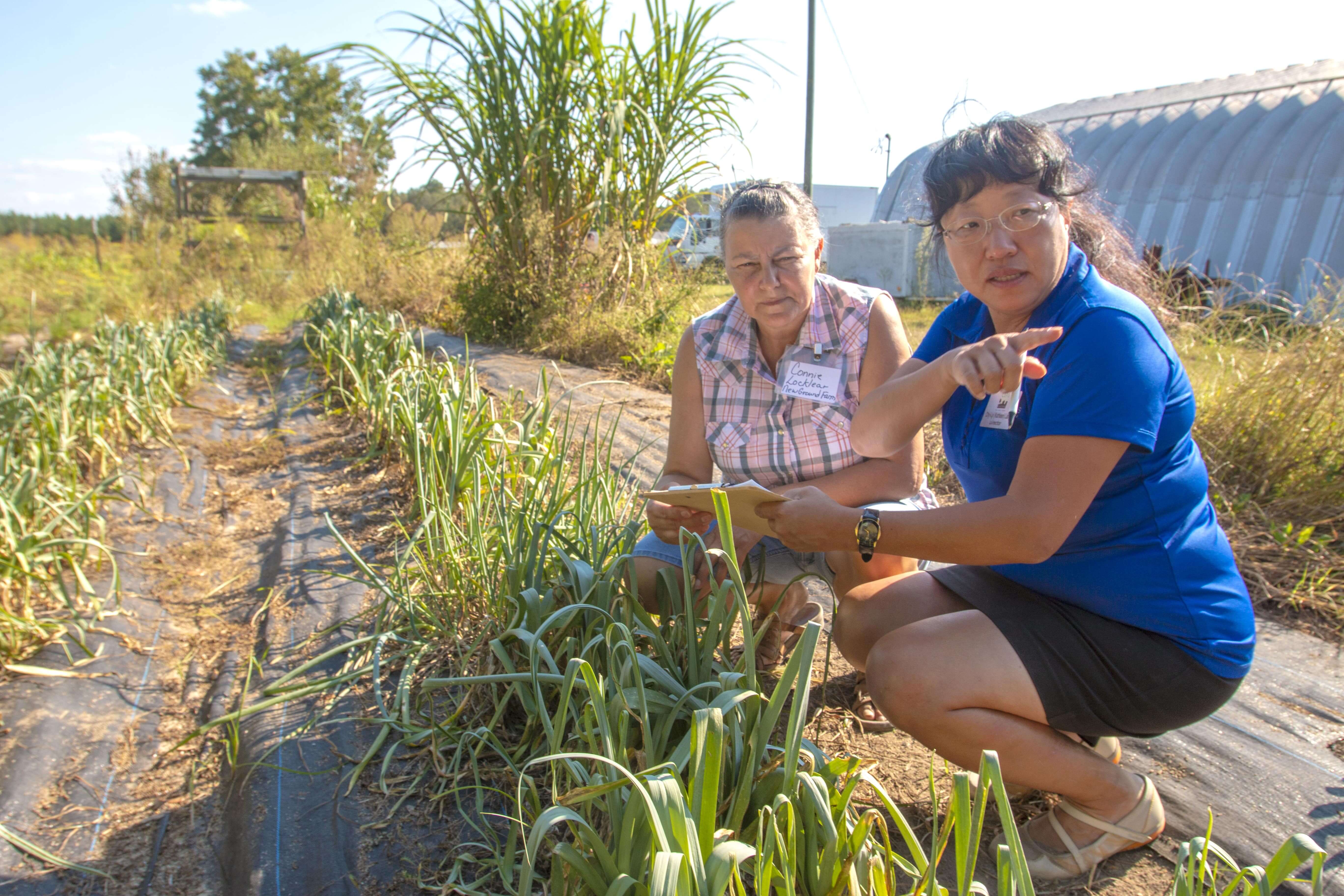 N.C. A&T’s Liang in $10M USDA-Funded Project to Examine Major Shocks to Food Systems