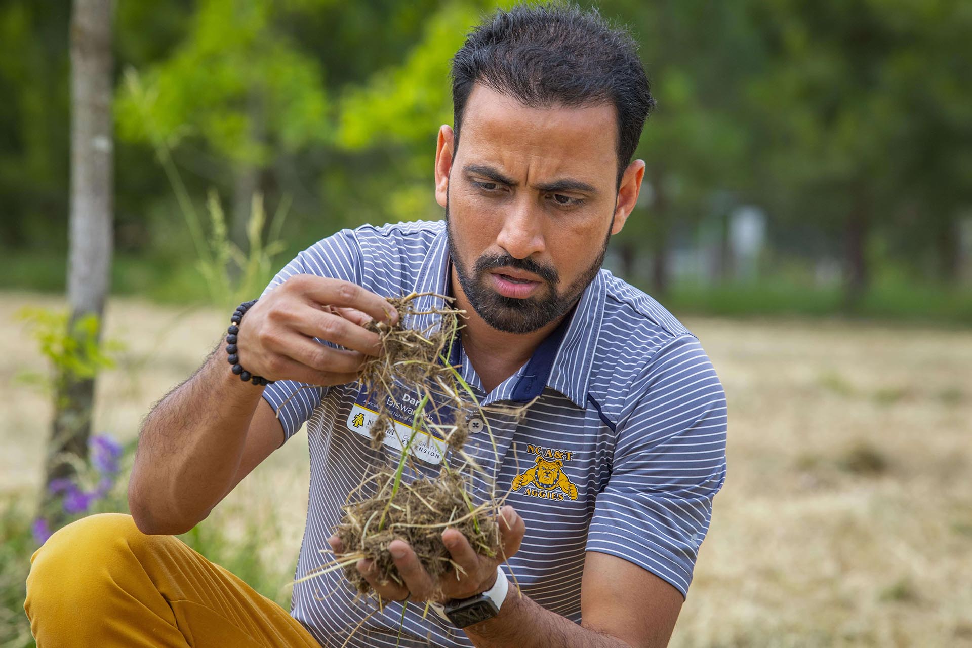 caes-research-portfolio-sets-record-reaches-nearly-40m-north