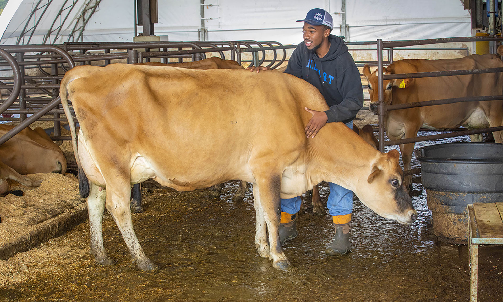 Modern Milking: Bringing Advanced Tech to the Barn | North Carolina A&T ...