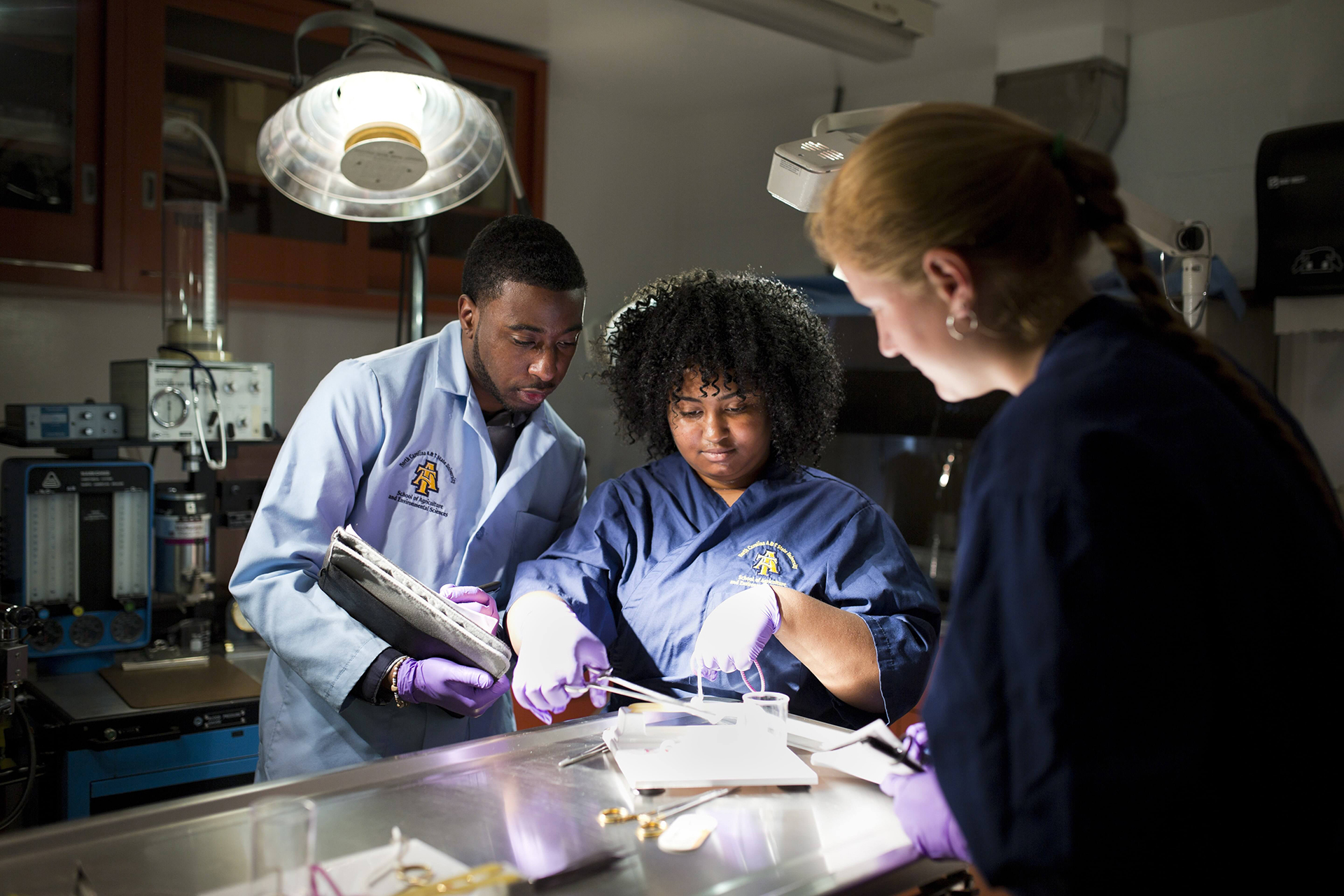 Lab Interim Hodge-Penn Named Interim Research Vice Chancellor | North Carolina A&T ...