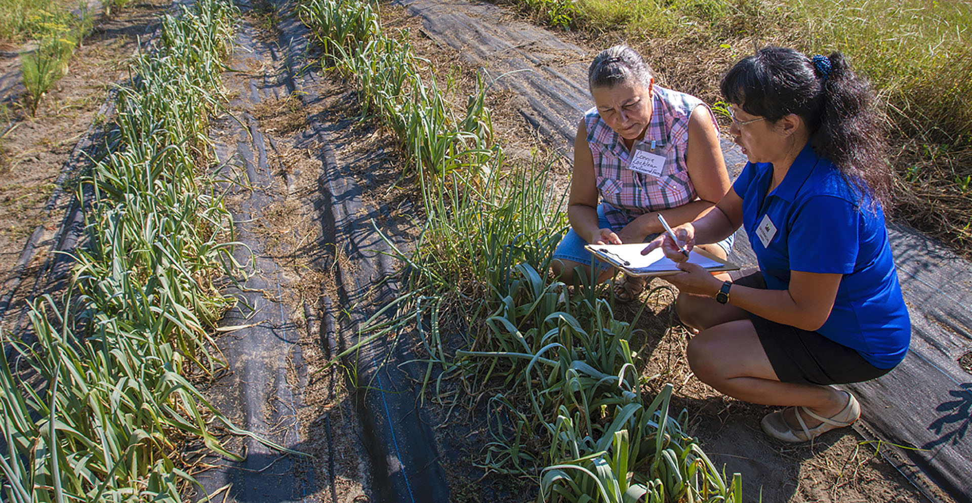 Agriculture Business Innovation Center to Kick Off with Two-Day Event