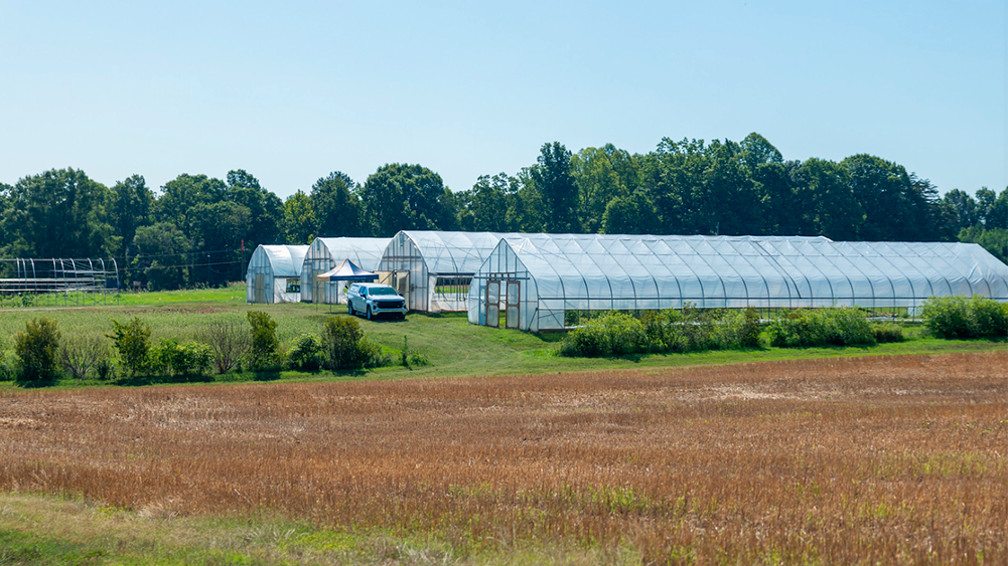 N.C. A&T Farm
